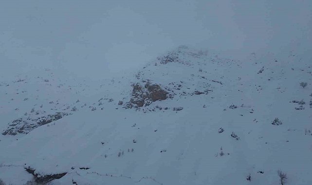 Batman'da ağıla çığ düştü: 45 küçükbaş hayvan telef oldu