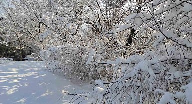 Batman'da kar manzaraları