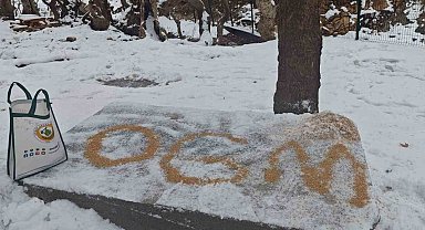 Batman'da yaban hayatı unutulmadı