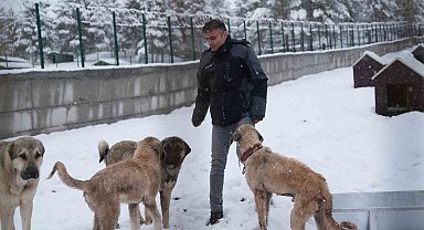 Battalgazi'de Malatya'nın ikinci hayvan barınağı hizmete başladı