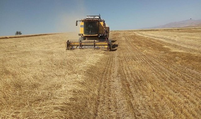 Bayburt'ta besici ve yetiştiricilere yemlik arpa satışı yapılacak