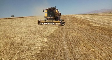 Bayburt'ta besici ve yetiştiricilere yemlik arpa satışı yapılacak