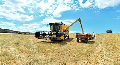 Bayburt'ta üreticiye yüzde 40 devlet katkılı yem desteği verilecek