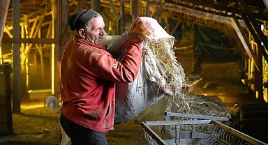 Bayburtlu besici zorlu kış şartlarına rağmen 140 hayvanını sevgiyle büyütüyor