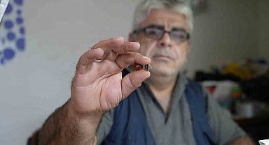 Bayburtlu kehribar ustası işlediği taşta milyonlarca yıllık böcek fosili buldu