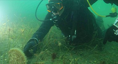 Belediye başkanı dalış yaptı, su altından müjdeyle çıktı