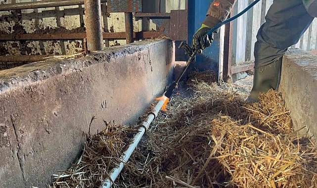 Besiciler donan su şebeklerini açmak için uğraşıyor