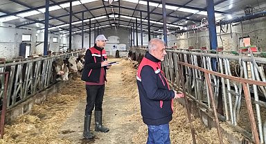 Besicilik işletmelerine yönelik 'kapasite ölçümleri' devam ediyor