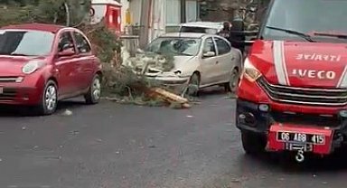 Beypazarı'nda fırtına ağaçları devirdi