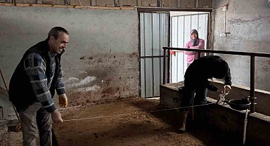 Bilecik'te büyükbaş hayvancılık işletmelerinde kapasite kontrolleri