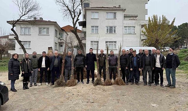 Bilecik'te çiftçilere meyve fidanı desteği