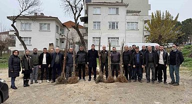 Bilecik'te çiftçilere meyve fidanı desteği