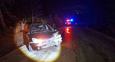 Bilecik'te kontrolden çıkan otomobil ağaca çarptı: 1 yaralı