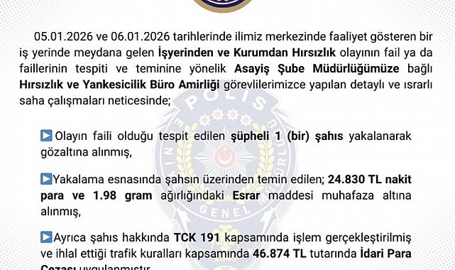 Bingöl'de hırsızlık yapan şüpheli tutuklandı