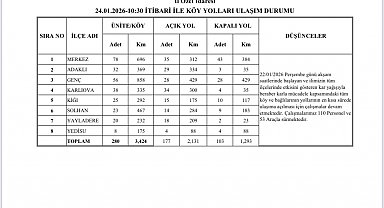 Bingöl'de karla mücadele sürüyor: 177 köy yolu ulaşıma açıldı