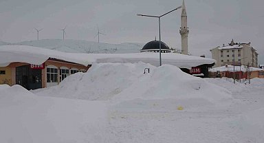 Bitlis'te kış şartları ağırlaşıyor, 124 köy yolu kapandı