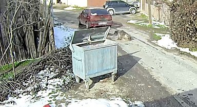 Bolu'da ezilen köpeğin röntgeninden 400 saçma çıktı: