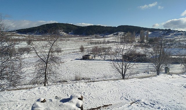 Buldan'da yılın ilk karı üreticileri sevindirdi