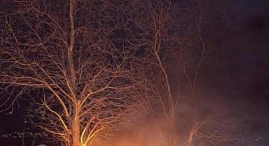 Bursa'da kontrolden çıkan otomobil önce ağaca çarptı sonra alev aldı