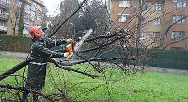 Büyükşehir ekipleri, şiddetli rüzgara karşı sahada