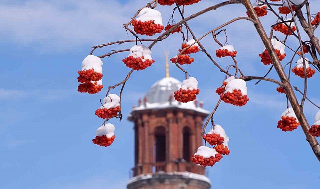 Buzlanma, don ve çığa dikkat