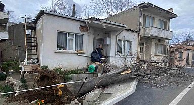 Çanakkale'de lodos fırtınasında devrilen ağaç evin çatısına zarar verdi