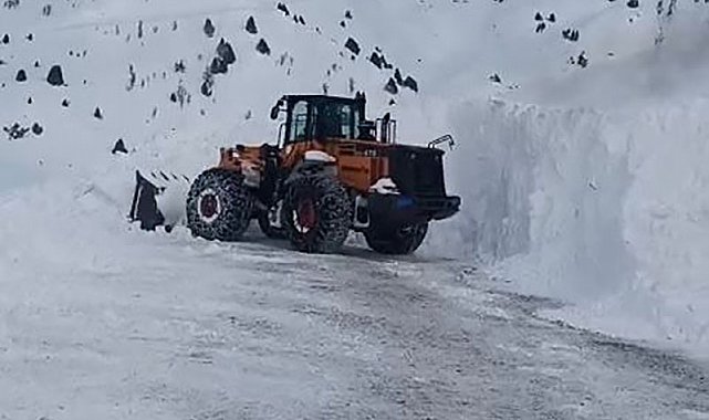 Çatak'ta 24 saatte 6 çığ düştü