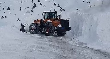 Çatak'ta 24 saatte 6 çığ düştü