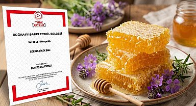 Çerkeş çiçek balı coğrafi işaret tescili aldı