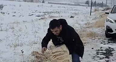 Çermik'te yaban hayvanları için doğaya yem bırakıldı