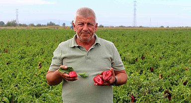 Çiftçilerden çağrı: "Üretim maliyetleri baskılanamaz hale geldi"