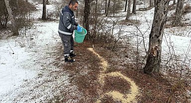 Çorum Belediyesi yaban hayvanlarını unutmadı