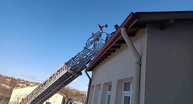 Çorum'da binanın çatısında mahsur kalan kediyi itfaiye ekibi kurtardı