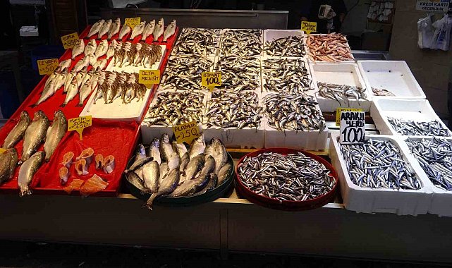 Denizdeki fırtına avını etkilese de balık fiyatlarını etkilemedi