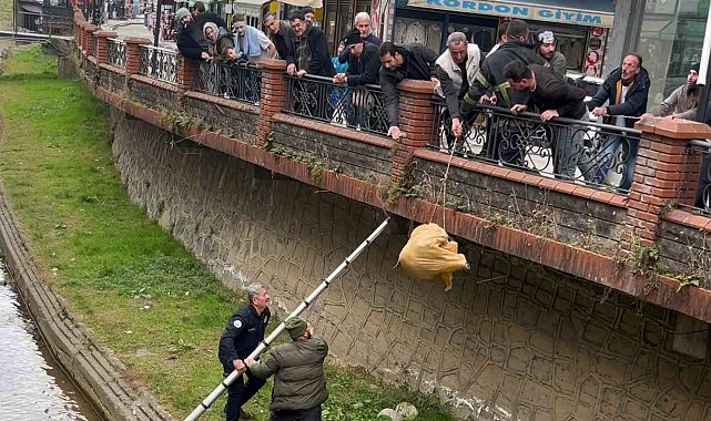 Dere yatağında mahsur kalan köpek itfaiye ve vatandaşın yardımıyla kurtarıldı