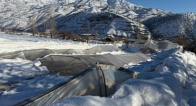 Derecik'te kardan dolayı 38 sera zarar gördü