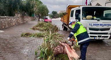 Didim Belediyesi sahada çalışmalarını sürdürüyor