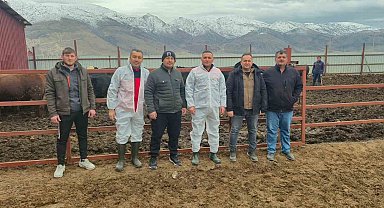 Dinar'da ithal hayvan besiciliği yapılan işletmelere yönelik denetim