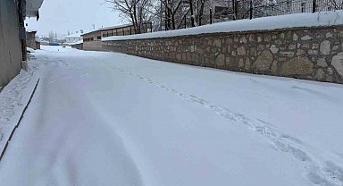 Diyadin'de yoğun kar yağışı hayatı olumsuz etkiliyor