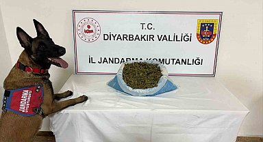 Diyarbakır'da 41 kilo esrar ele geçirildi