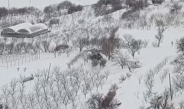 Diyarbakır'da aç kalan kurt sürüsü yerleşim yerine indi