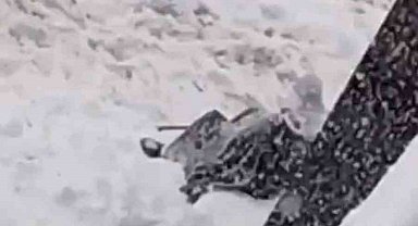 Diyarbakır'da kar çileye dönüştü