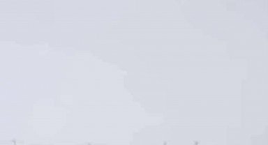 Diyarbakır'da kurtlar yerleşim yerlerine indi