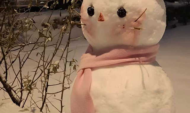 Diyarbakır'ın en güzel kardan adamı seçildi