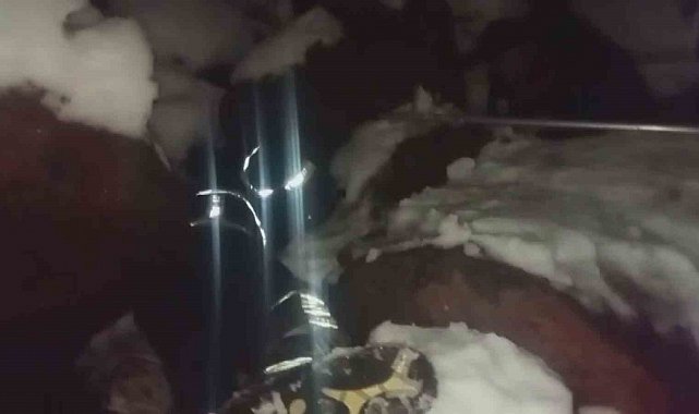 Dondurucu soğukta ölümü bekleyen yavru köpekleri itfaiye kurtardı