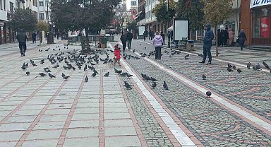 Edirne'de dondurucu soğuk: Edirneliler evde, Bulgarlar mağazalarda