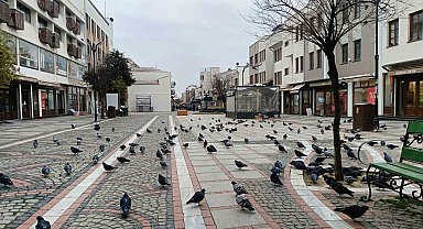 Edirne'de kar gitti, ayaz geldi: Pandemi günlerini aratmayan sessizlik