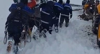 Ekipler enerji için seferber oldu: Ekipler direkleri sırtında taşıdı