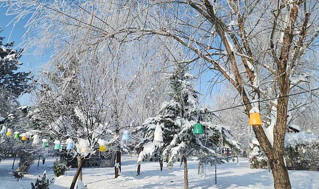 Elazığ'da dondurucu soğuklar: Karakoçan'da termometreler -22'yi gösterdi