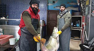 Elazığ'da yakalanan 78 kilogram ağırlığındaki turna balığını iki kişi zor taşıdı